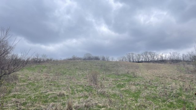 Eladó telek, Pannonhalmán 79 M Ft / költözzbe.hu