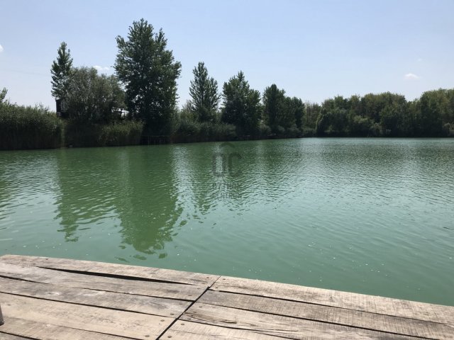 Eladó mezogazdasagi ingatlan, Délegyházán 250 M Ft