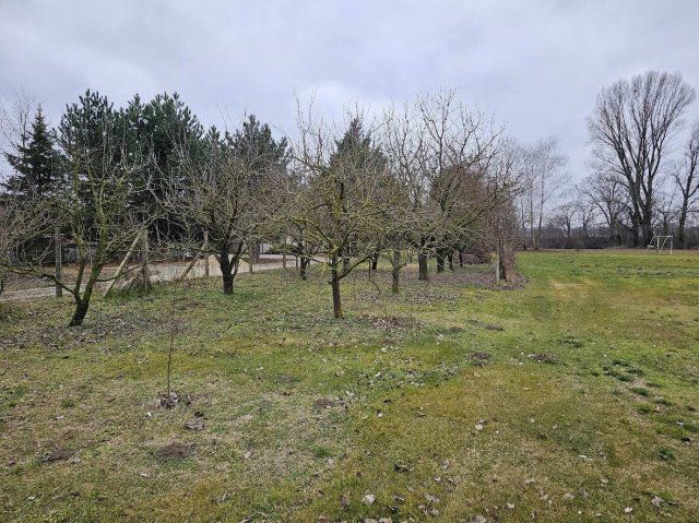 Eladó mezogazdasagi ingatlan, Dunakilitin 117.99 M Ft