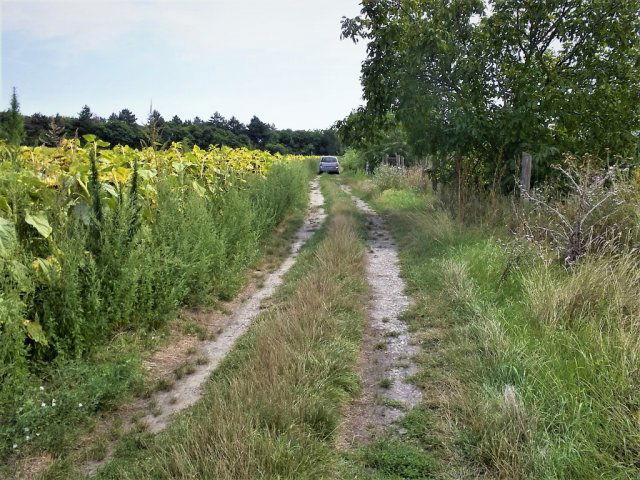 Eladó telek, Kajászón 10 M Ft / költözzbe.hu