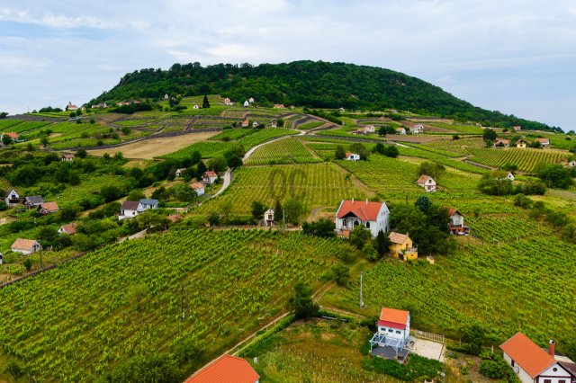 Eladó családi ház, Somlóvásárhelyen 149 M Ft, 1 szobás