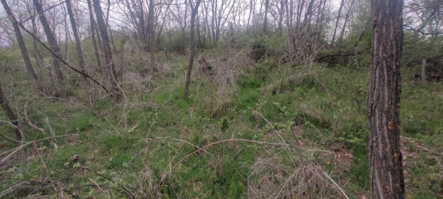 Eladó telek, Karancsalján 5 M Ft / költözzbe.hu