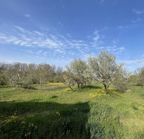 Eladó üzlethelyiség, Tiszaföldváron 7.9 M Ft