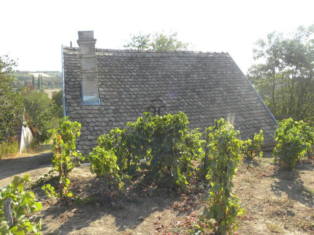 Eladó mezogazdasagi ingatlan, Mohácson 3.9 M Ft