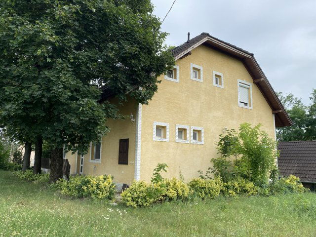 Kiadó családi ház, albérlet, Dabason 600 E Ft / hó, 10 szobás