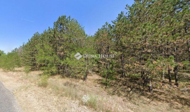 Eladó telek, Ladánybenén 12 M Ft / költözzbe.hu