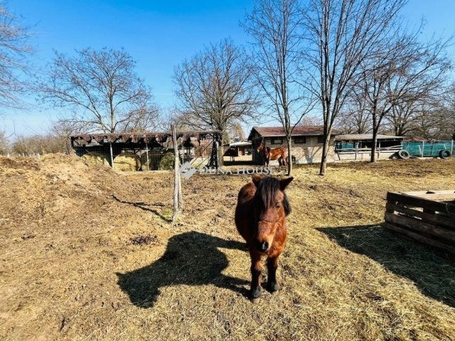 Eladó mezogazdasagi ingatlan, Pilisen 81.9 M Ft, 4 szobás