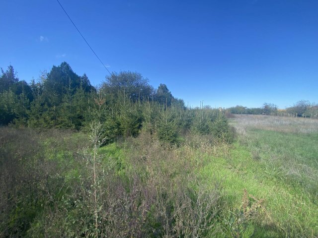 Eladó telek, Békéscsabán 10 M Ft / költözzbe.hu