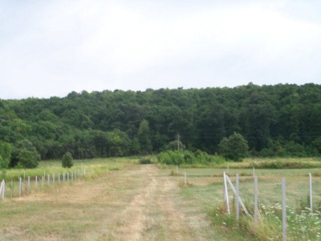 Eladó telek, Nagykovácsiban 90 M Ft / költözzbe.hu