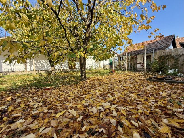 Eladó családi ház, Békéscsabán 17.9 M Ft, 1 szobás