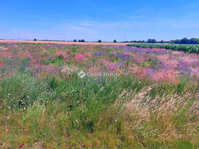Eladó telek, Besnyőn 8.5 M Ft / költözzbe.hu