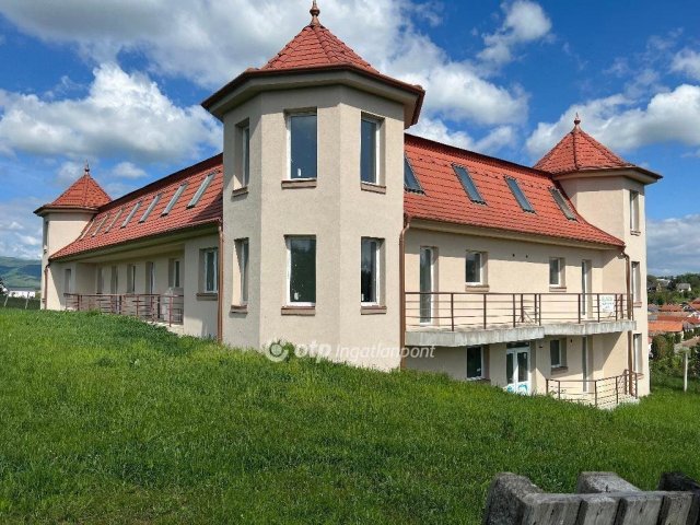 Eladó családi ház, Berkenyén 495 M Ft, 22+6 szobás