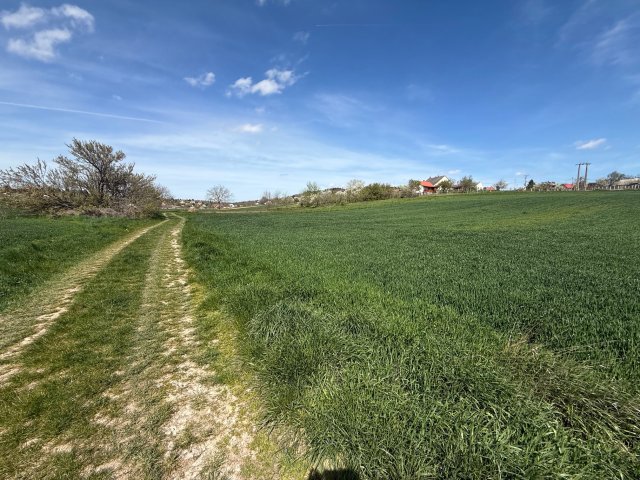 Eladó telek, Cserszegtomajon 17.5 M Ft / költözzbe.hu