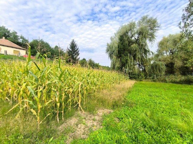 Eladó telek, Harsányban 1.35 M Ft / költözzbe.hu