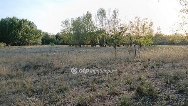 Eladó mezogazdasagi ingatlan, Pusztamérgesen 11.5 M Ft