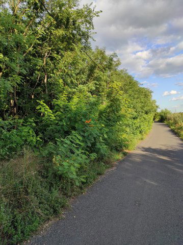 Eladó telek, Szigetszentmiklóson 29.9 M Ft / költözzbe.hu