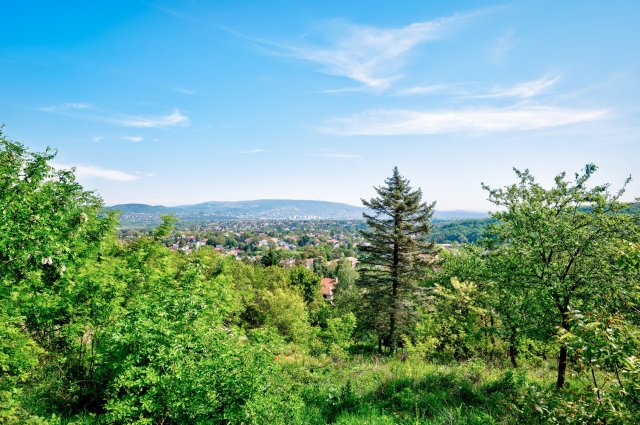 Eladó telek, Törökbálinton 159 M Ft / költözzbe.hu