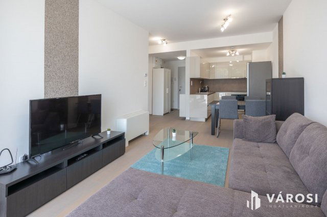 Kiadó téglalakás, albérlet, Szegeden 270 E Ft / hó, 2 szobás