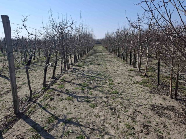 Eladó telek, Cegléden 2.9 M Ft / költözzbe.hu