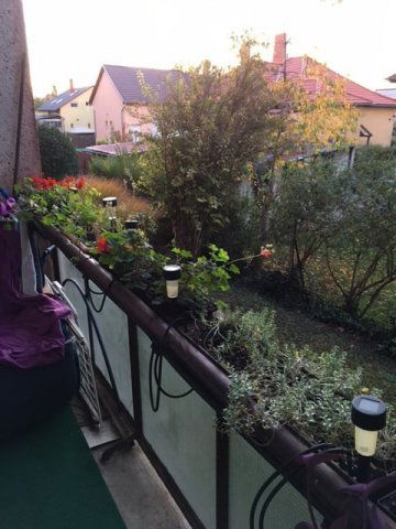 Eladó téglalakás, Budapesten, X. kerületben 55 M Ft, 2 szobás