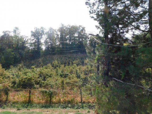 Eladó családi ház, Zalakaroson 75.9 M Ft, 5 szobás