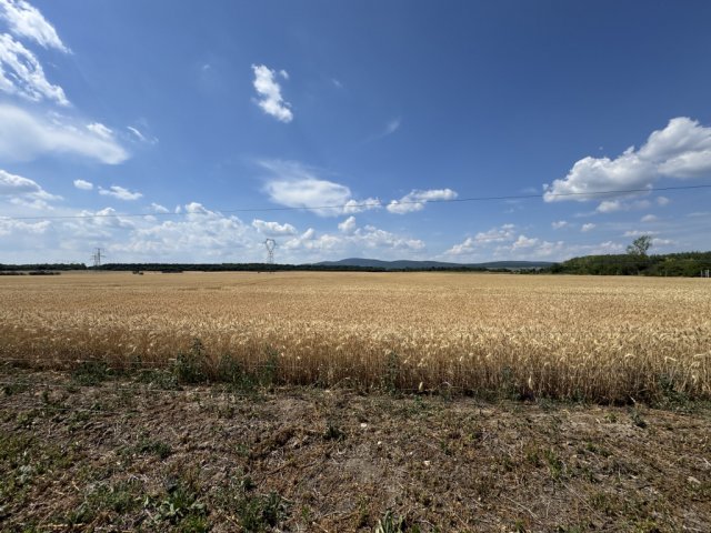 Eladó telek, Veszprémben 17.5 M Ft / költözzbe.hu