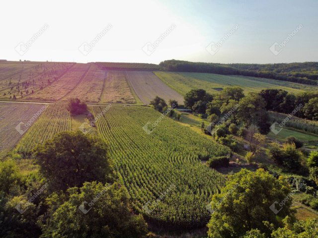 Eladó telek, Nagykutason 4.95 M Ft / költözzbe.hu