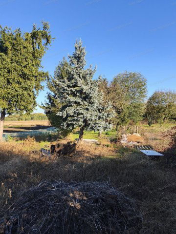 Eladó családi ház, Nyírtelken 14.9 M Ft, 2 szobás