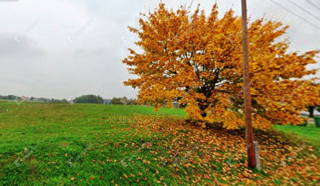 Eladó telek, Kemestaródfán 6.99 M Ft / költözzbe.hu