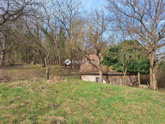 Eladó mezogazdasagi ingatlan, Alcsútdobozon 12.5 M Ft, 1 szobás