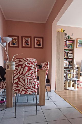 Eladó panellakás, Móron, Vámos közben 46.9 M Ft, 2 szobás