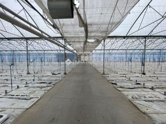 Eladó családi ház, Szabadszálláson 140 M Ft, 5 szobás