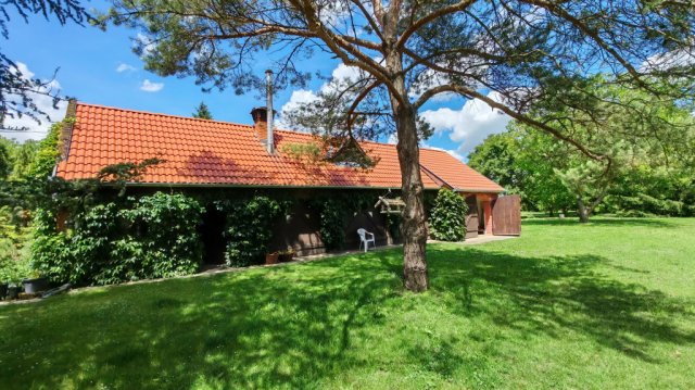 Eladó családi ház, Kétújfalun 95 M Ft, 4 szobás