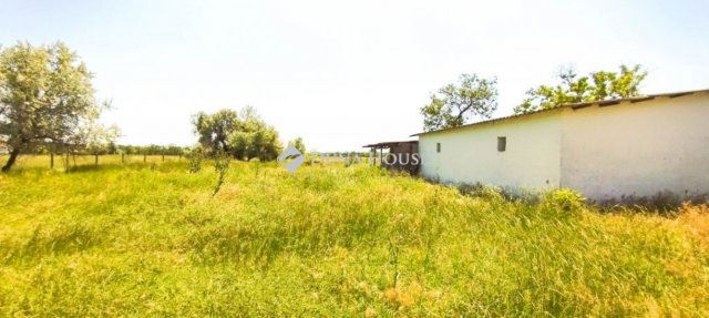 Eladó mezogazdasagi ingatlan, Pusztaszeren 32 M Ft, 5 szobás