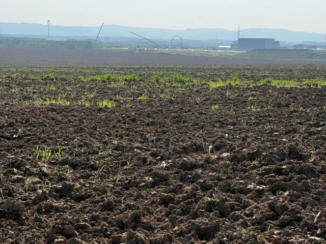 Eladó telek, Kispálin 55 M Ft / költözzbe.hu
