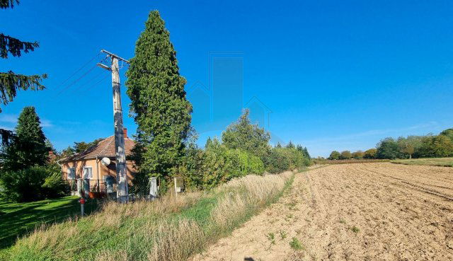Eladó telek, Sorkifaludon 3.9 M Ft / költözzbe.hu