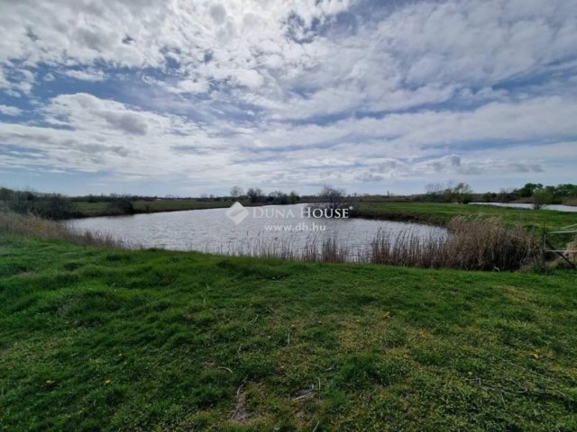 Eladó családi ház, Cegléden 135 M Ft, 1 szobás