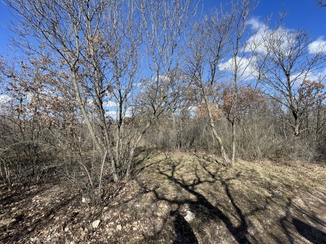 Eladó telek, Dörgicsén 12 M Ft / költözzbe.hu