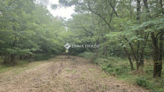 Eladó telek, Vitnyéden 138 M Ft / költözzbe.hu