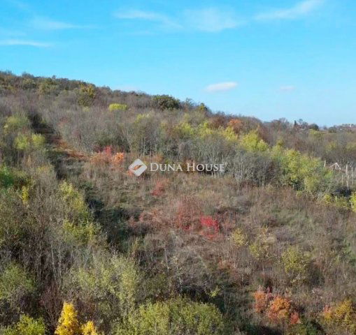 Eladó telek, Tihanyban 155 M Ft / költözzbe.hu