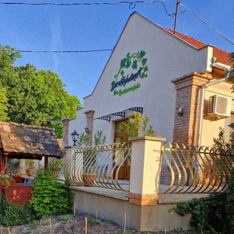 Eladó üzlethelyiség, Derekegyházán, Semmelweis utcában 320 M Ft