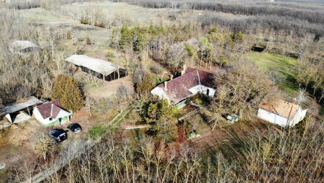 Eladó mezogazdasagi ingatlan, Kunszentmiklóson 169.9 M Ft