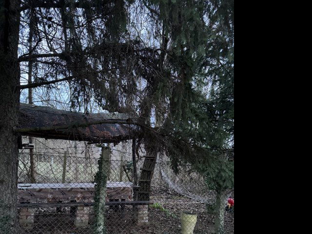 Eladó nyaraló, Kókán 10.9 M Ft, 2 szobás / költözzbe.hu
