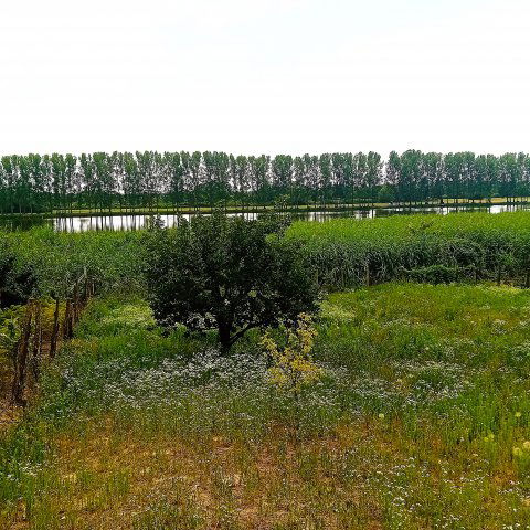Eladó családi ház, Rakamazon 14.5 M Ft, 3 szobás