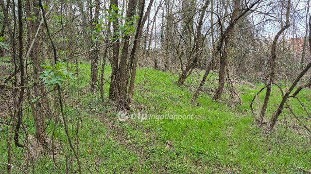 Eladó mezogazdasagi ingatlan, Pellérden 16 M Ft