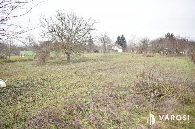 Eladó mezogazdasagi ingatlan, Gyulán 2.5 M Ft