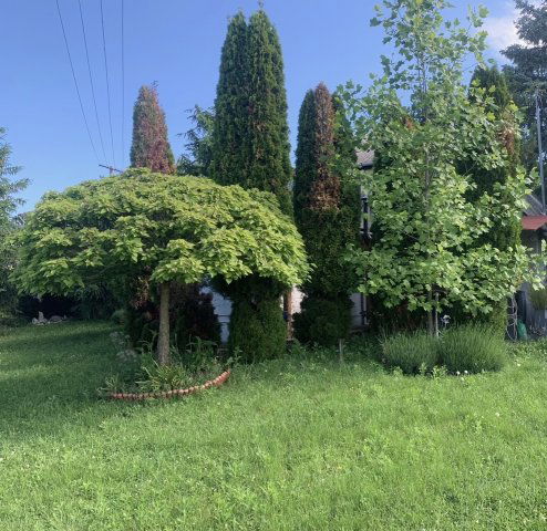 Eladó mezogazdasagi ingatlan, Egerszalókon 16 M Ft