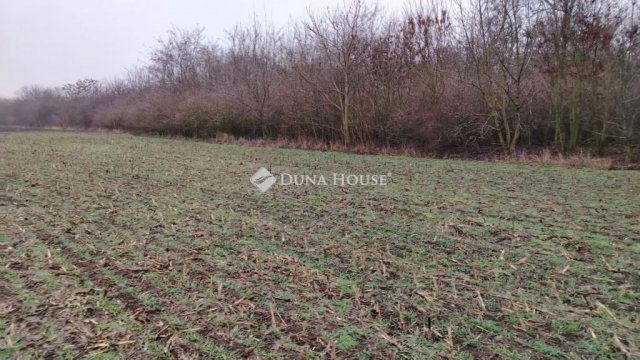 Eladó telek, Siófokon 2.5 M Ft / költözzbe.hu