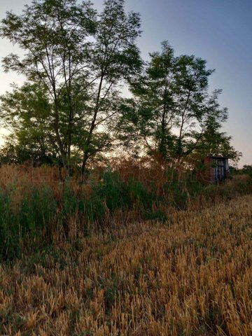 Eladó mezogazdasagi ingatlan, Balatonszabadiban 28 M Ft