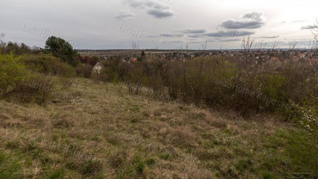 Eladó mezogazdasagi ingatlan, Kaposváron 1.5 M Ft